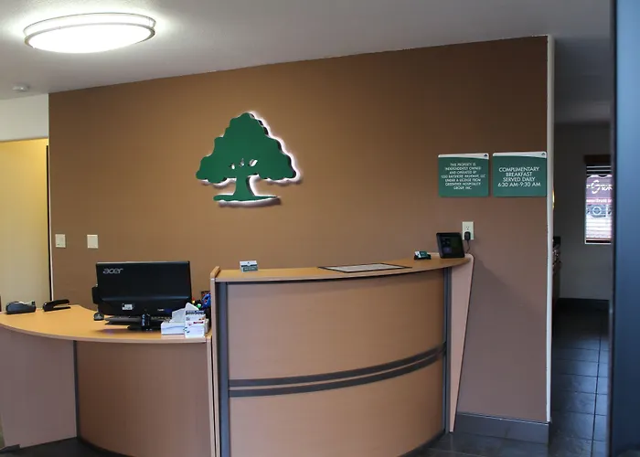 Hotel Greentree 3*