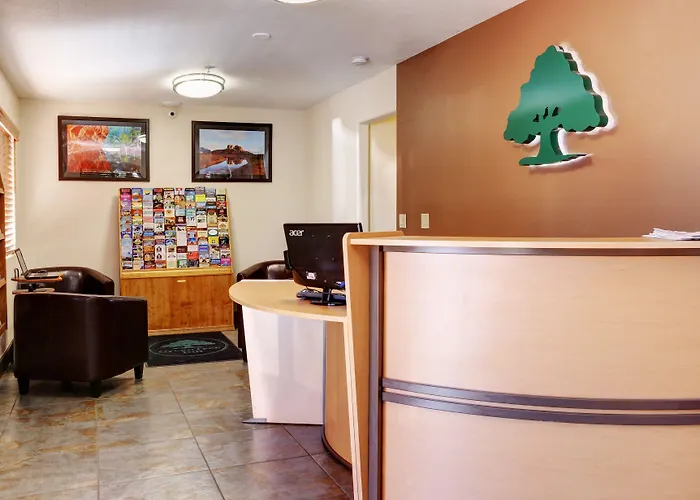 Greentree Hotel 3*